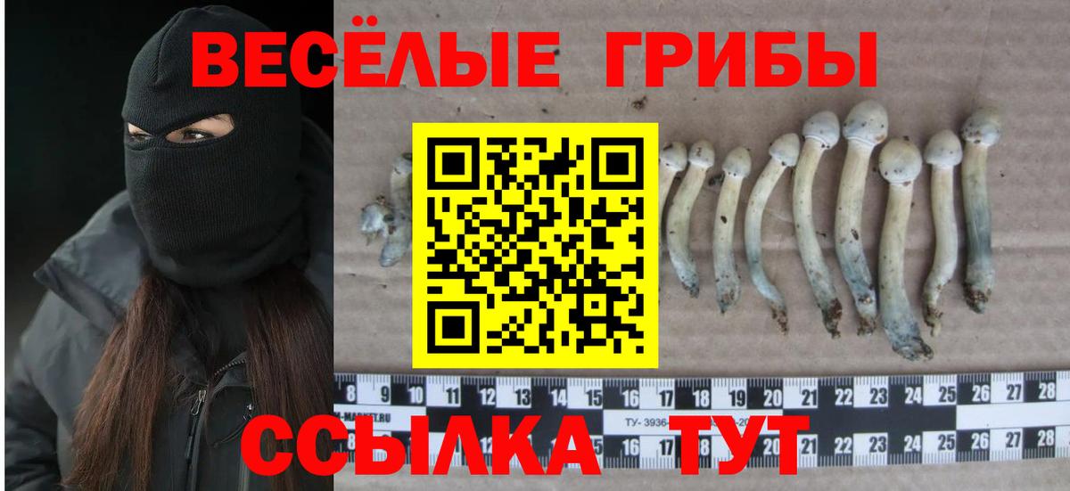 Галлюциногенные грибы ЛСД Железногорск