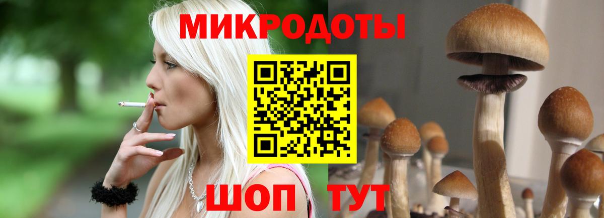 Железногорск  Галлюциногенные грибы Psilocybine cubensis  где купить наркотик  Вход с VPN 